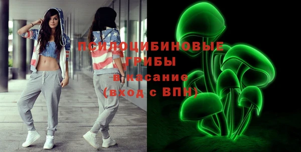 apvp Балахна